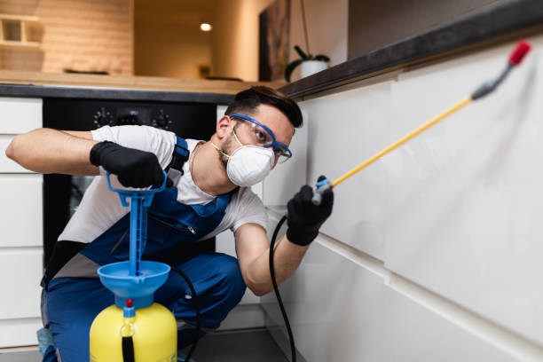 Best Best Pest Control Companies  in Dry Ridge, OH