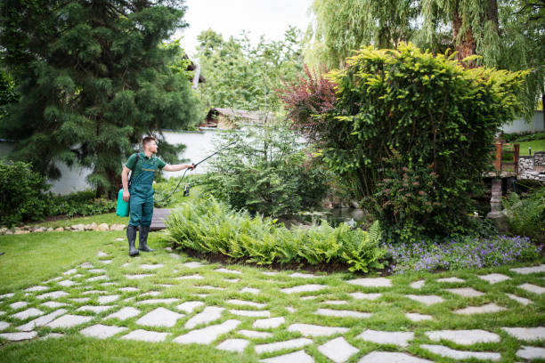 Best Affordable Pest Control Services  in Dry Ridge, OH