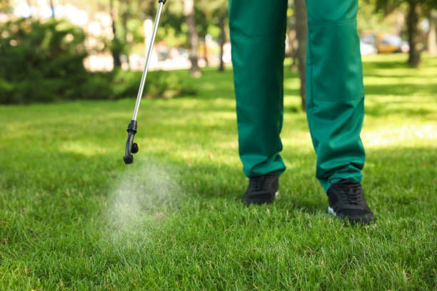 Best Affordable Pest Control Services  in Dry Ridge, OH