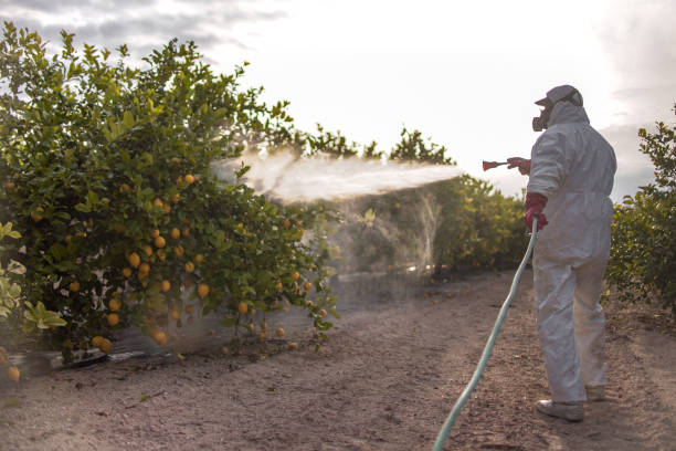  Dry Ridge, OH Pest Control Pros