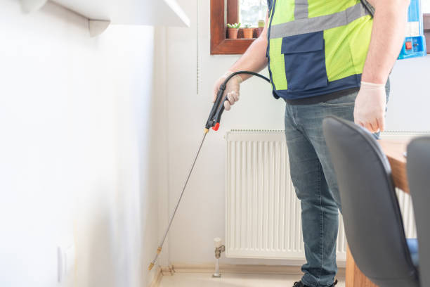 Best Flea Control Services  in Dry Ridge, OH