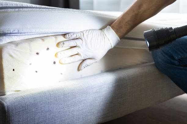 Best Pest Prevention Services  in Dry Ridge, OH