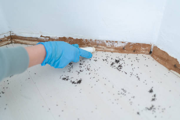 Wildlife Control Services in Dry Ridge, OH