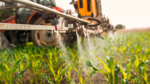 Best Wildlife Control Services  in Dry Ridge, OH